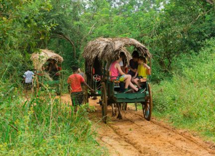 Sigiriya Village Tour