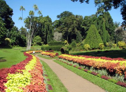 Royal Botanic Garden Peradeniya