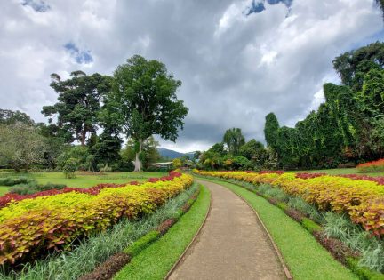 Royal Botanic Garden Peradeniya
